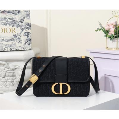 Dior Bags AAA 001